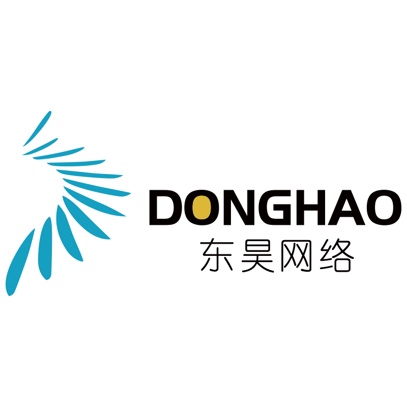 蕪湖東昊網絡科技有限公司